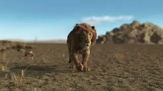 LION_  Houdini, Mantra, groom (simulation of fur) enironment, simulation of sand on paws)