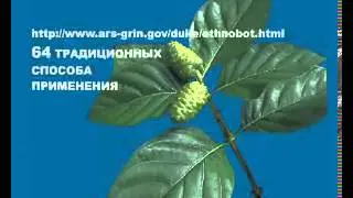Динамика Роста TNI часть 1
