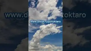 8 июля 2024 г.