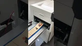 Pouch Printing on OKI Pro9542