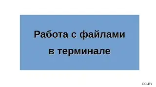 Основы работы в GNU/Linux - работа с файлами в терминале