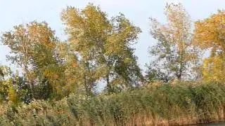 Лодка Казанка М река  Сухая