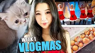 I GOT A NEW CAT FOR MY BIRTHDAY! | VLOGMAS WEEK 1