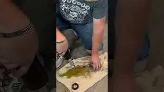 Harley Davidson Shock seal replacement (full video on the channel)