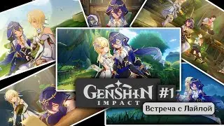 Genshin Impact #1 - Silent stars