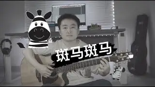 斑马斑马 - 宋冬野 【吉他弹唱】