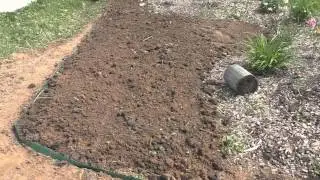 Делаю миксбордер. Продолжение