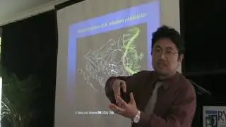Control of DNA Repair by Photolyase - Dongping Zhong