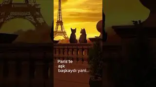 Paris'te aşk başkadır