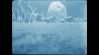 Сахарная водородная бомба buster Jungle Shot Sugar H-Bomb