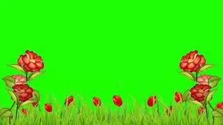 Nature animation video | Nature background video | Natural background video | Green screen video