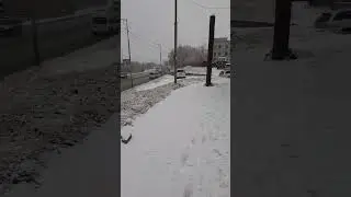 3 ноября 2022 г.