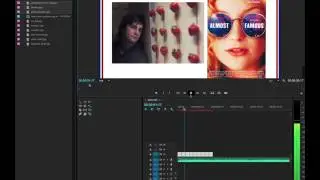 howto premiere scale to frame size