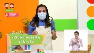 Preescolar - Exploración y Comprensión del Mundo Natural y Social - Cambios naturales