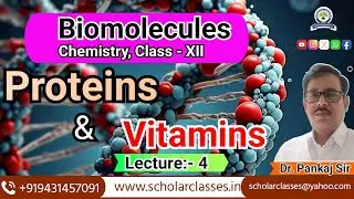 Everything You Need To Know About Proteins and Vitamins ll Biomolecules ll Dr. Pankaj Sir