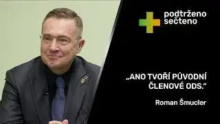 Vidlák to hodně pokazil. Peníze na dálnice se do rozpočtu nedaly schválně. | Roman Šmucler