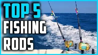 Best Fishing Rods 2023 | Top 5 Best Fishing Rods for Beginners