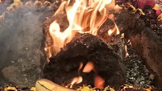 Гаятри ягья. 29.03.24