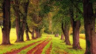 🎶Hodi hodi🧘Meditation music☀️Peter Deunov🇧🇬Ходи ходи