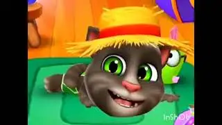 il coccodrillo fa