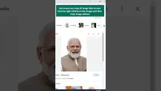How to use Excel Image Function