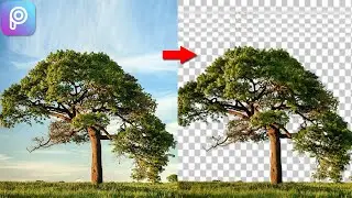 How to Change Background in Picsart | Remove Tree Background in Picsart Tutorial Editing