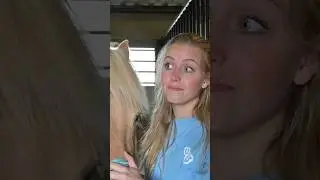 Zijn alle koudbloeden dik?!! 😱