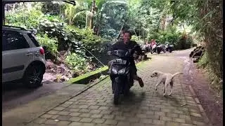 SAYANG KALAU KEBUANG