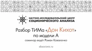 Дон Кихот: разбор ТИМа по модели А