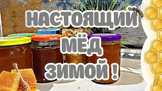 Is honey real? What does real honey without sugar look like?!