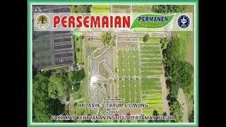 TEMPAT BIBIT GRATIS BERKUALITAS | Persemaian Permanen Dramaga IPB