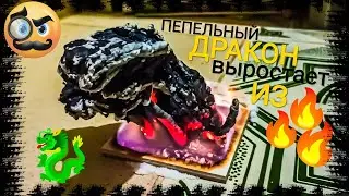Пепельный ДРАКОН вырастает из ПЛАМЕНИ прямо на глазах