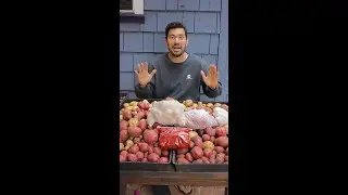 Surviving off of my garden for 30 days