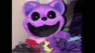 VHS Cam Catnap plush part 2