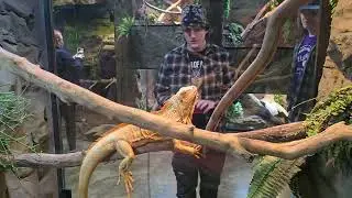 LegaSea Aquarium - Exceeded our expectations