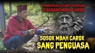 BABAD ALAS ‼️ PEMBERSIH LAHAN JAWA TIMUR PASURUAN