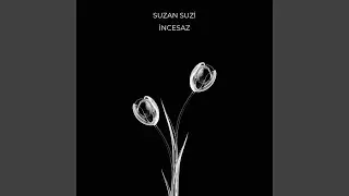 Suzan Suzi