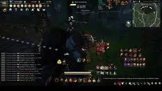 BDO Stryker 66 lvl | Колючий лес