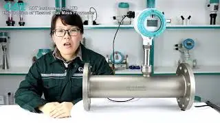 Thermal Mass Flow Meter