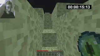 Анонимус спидранит майнкрафт // SPEEDRUN WR IN 31 SECONDS