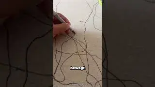 What happens when a beetle paints your picture?