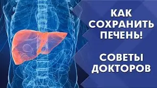 Как сохранить печень | Лечение печени | Диагностика заболеваний печени | Советы докторов