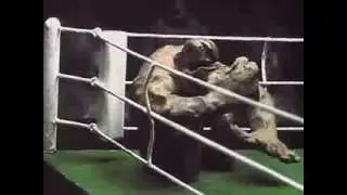 Самый Любимый Мультик.БРЭЙК !