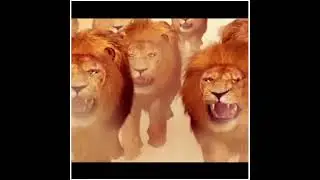 Vishuvardan Super Short From Simhadriya Simha Movie | 