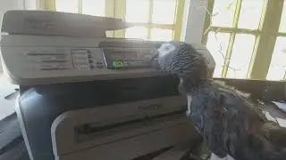 Camile sending fax