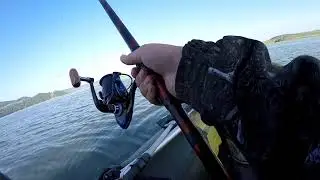 Сыда Красноярский край. Сазан на поплавок.