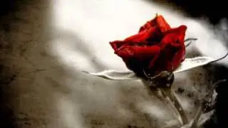 3апомни i love you ♥