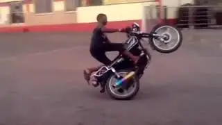 ants head wheelie