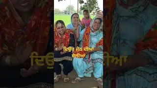 ਤੱਤਾ ਖੁਰਚਣਾ ਲਾਈਏ#shorts#youyubeshorts#lokbolianshorts