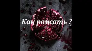 Курсы для беременных